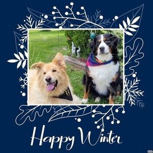 Meet your Posher, Lynne